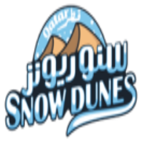 Snow Dunes